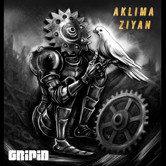 Aklıma Ziyan