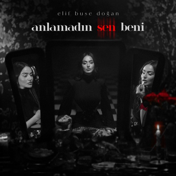 Anlamadın Sen Beni