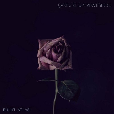Çaresizliğin Zirvesinde