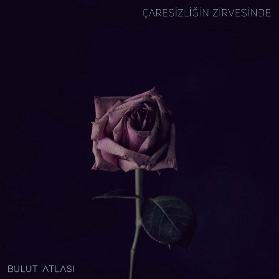 Çaresizliğin Zirvesinde