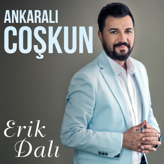 Erik Dalı