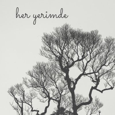 Her Yerimde