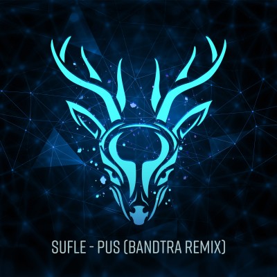 Pus (Bandtra Remix)