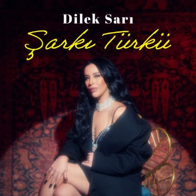 Şarkı Türkü