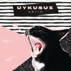 Uykusuz