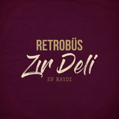 Zır Deli (Ev Kayıtları)